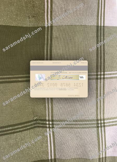 Slovenia Factor banka visa debit card photolook back